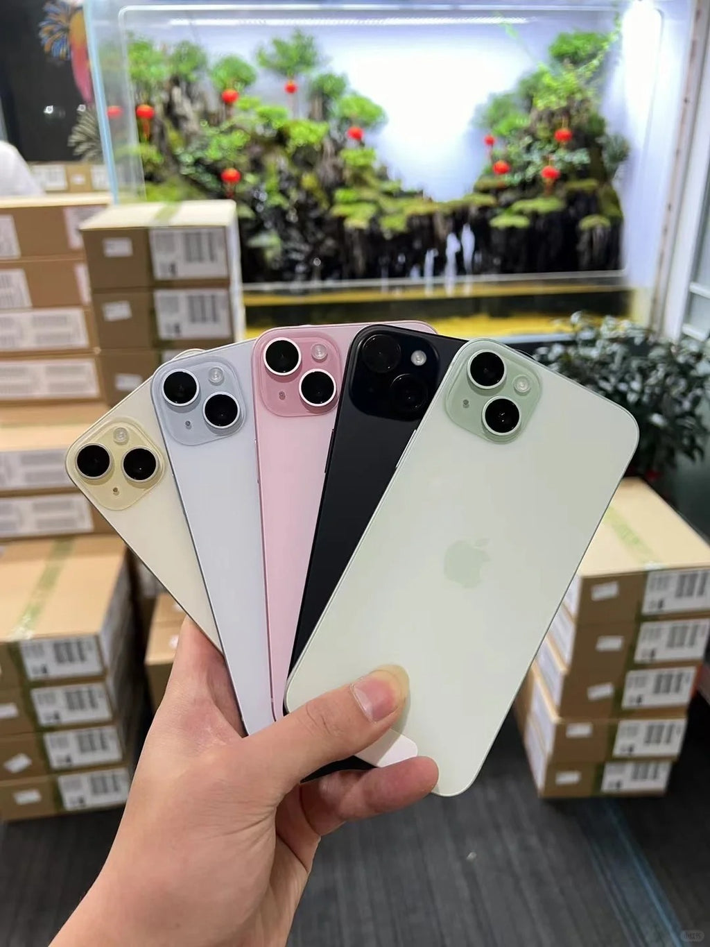 iPhone 15 Plus